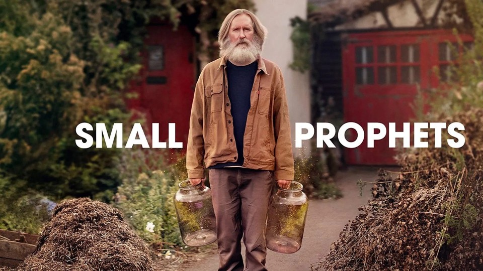 Small Prophets