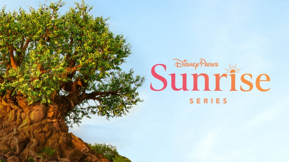 Disney Parks Sunrise