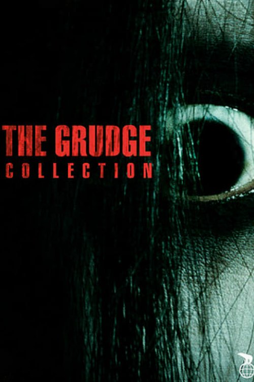 The Grudge Serisi