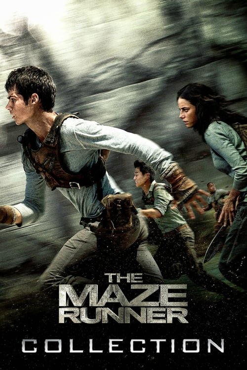 The Maze Runner Serisi