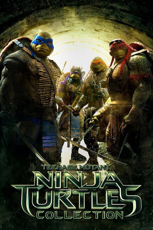 Teenage Mutant Ninja Turtles (Remake) Serisi