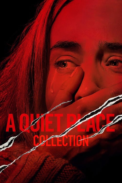 A Quiet Place Serisi