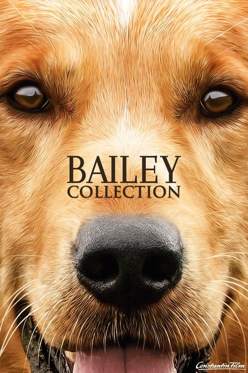A Dog's Purpose Serisi