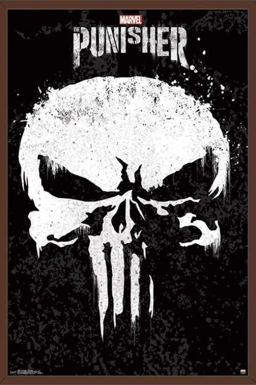 The Punisher Serisi