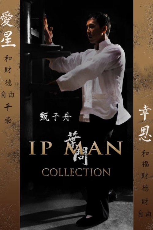 Ip Man Serisi
