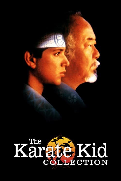The Karate Kid Serisi