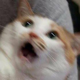 morbidangel0