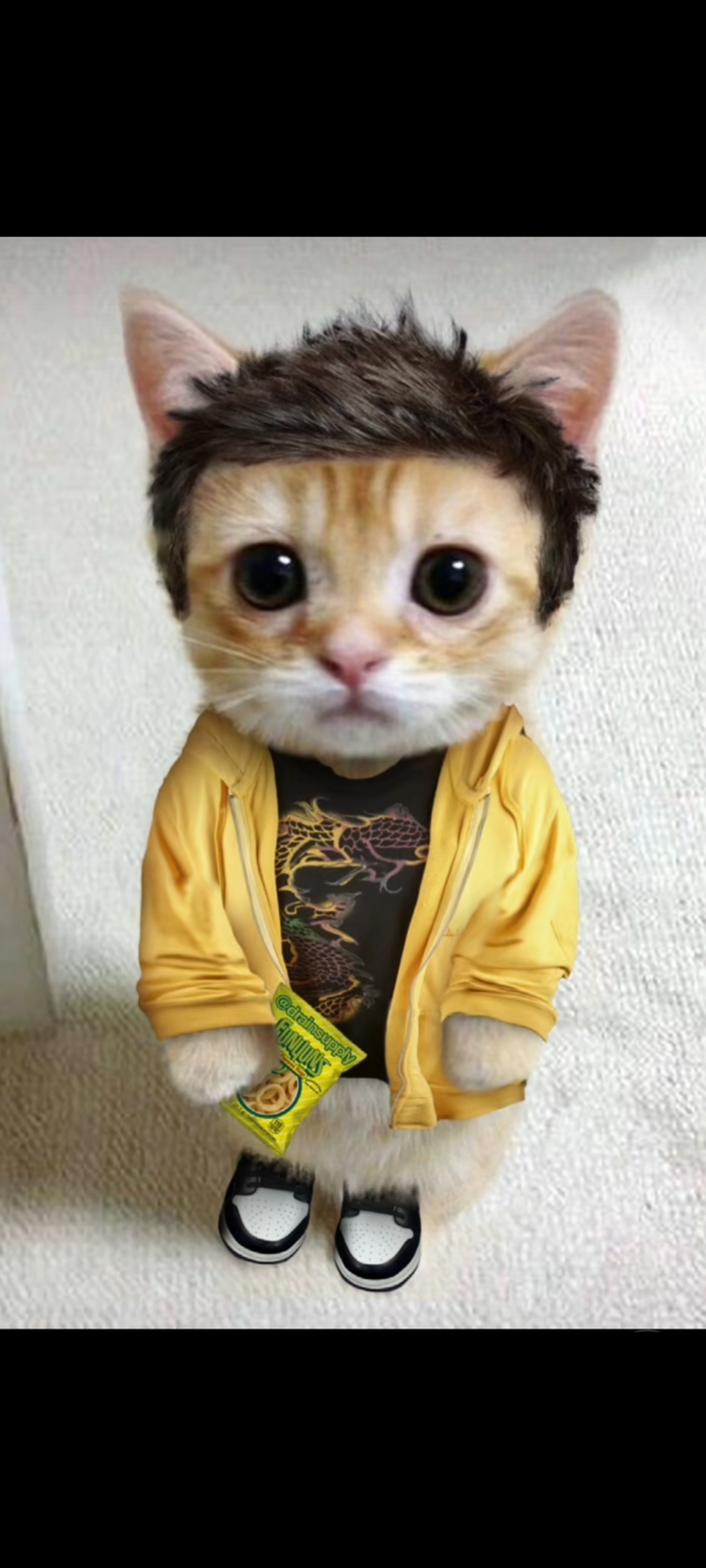cat-pinkman