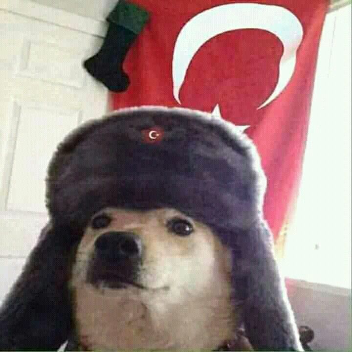 doganylmz05