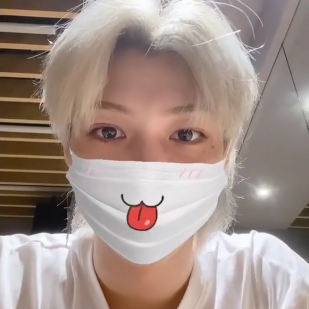 straykidsdestraykids