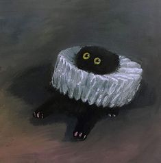 Maw_