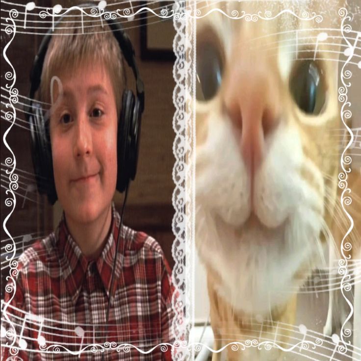 Bihtr07