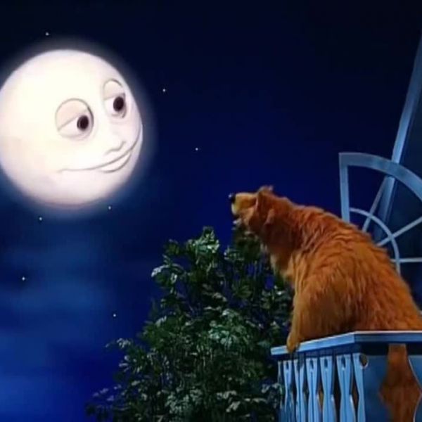 rintintin