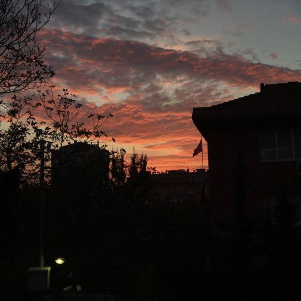 abccd