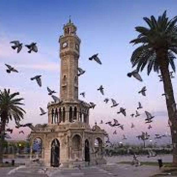 emir190535