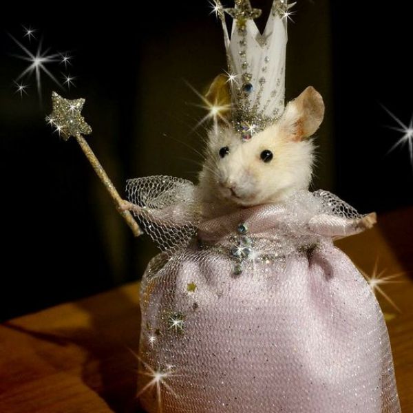themouseprincess