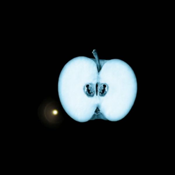 304612___iremclk2121