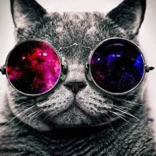 _wizard_
