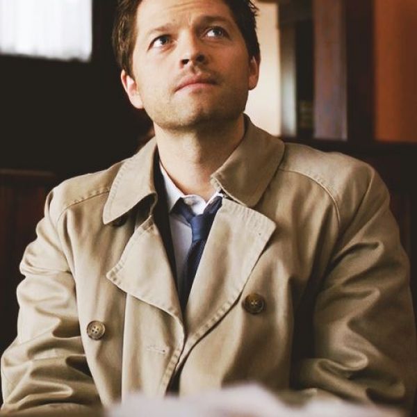 cass244