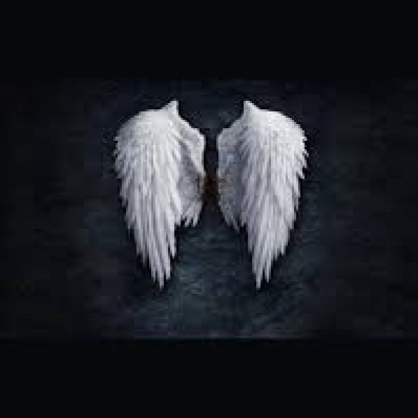gece.123