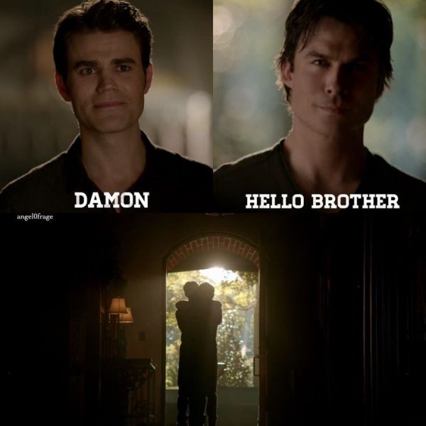 damonsalvatorefr