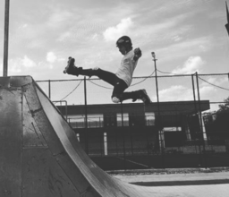 oneskater