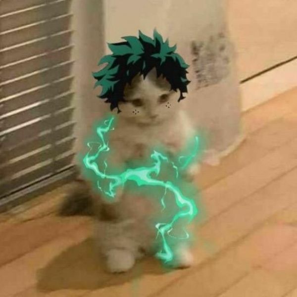 katsuki bakugo