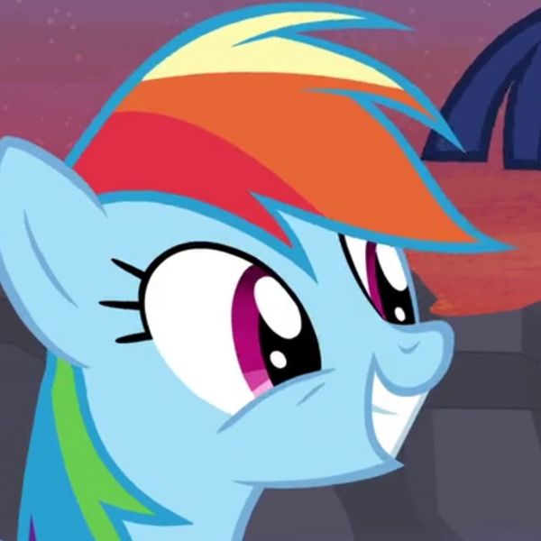 rainbow dash fani