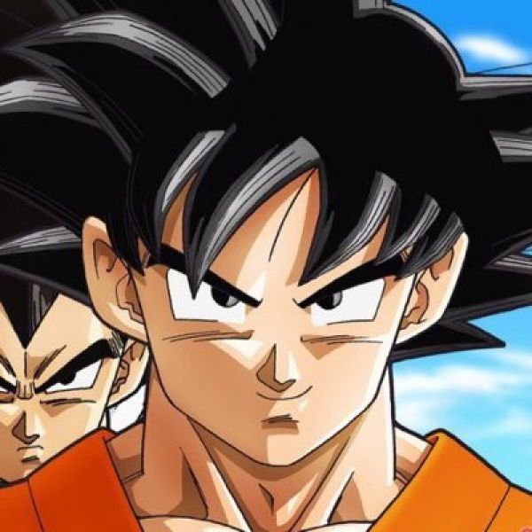 the goku-san
