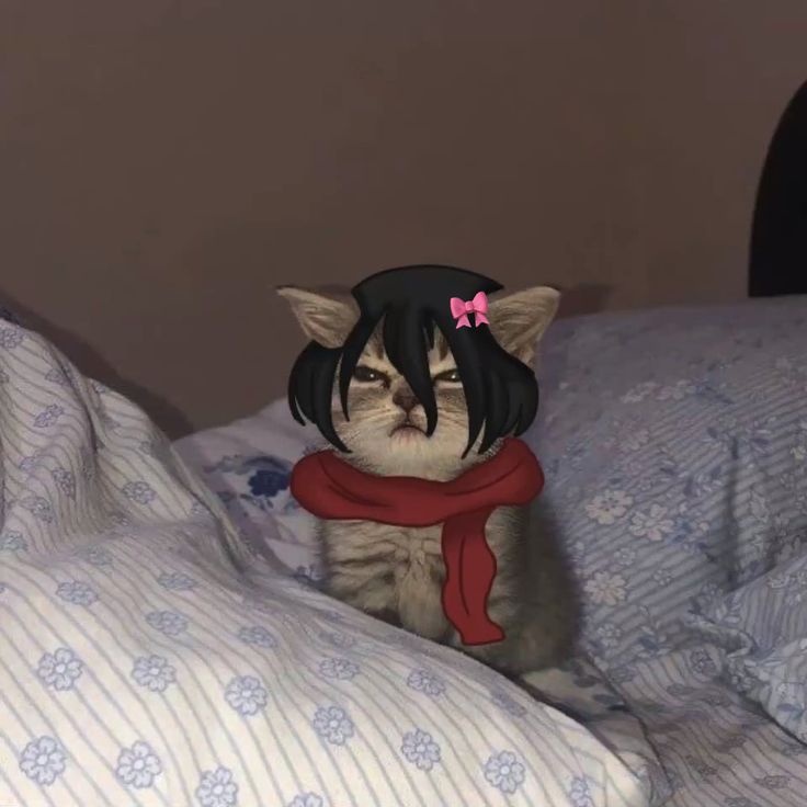 im-shinobu