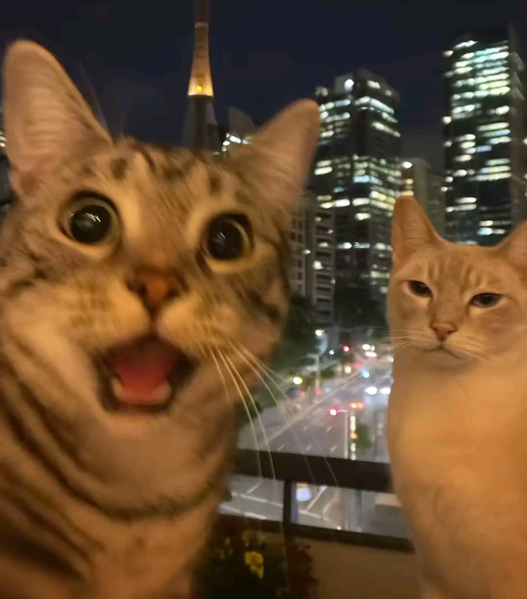 Gyuumyscar
