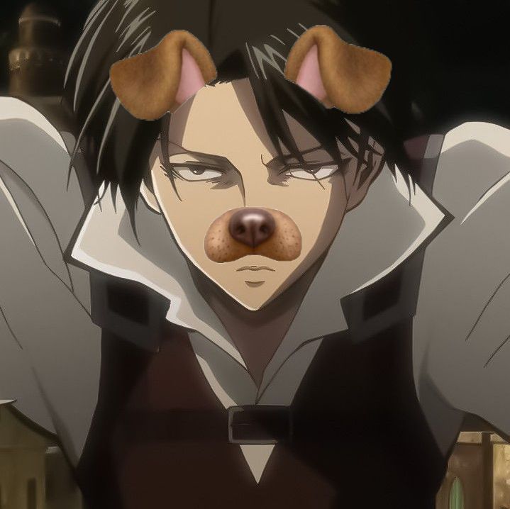 ewaersy