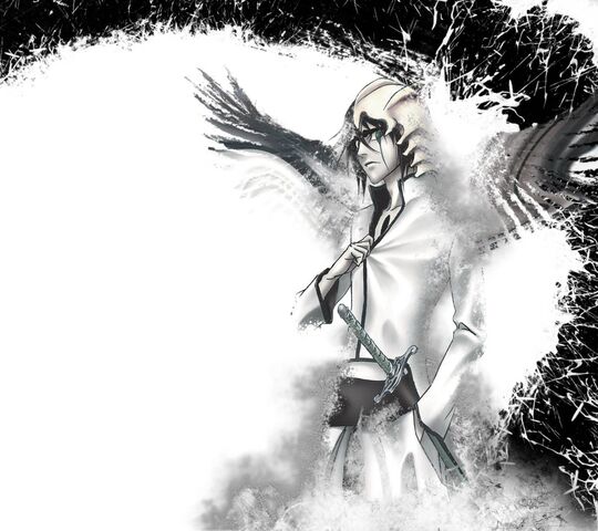 rmzulquiorra