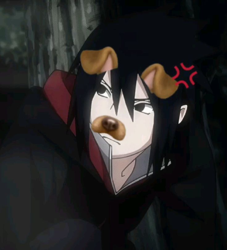 rukasaikudasakun