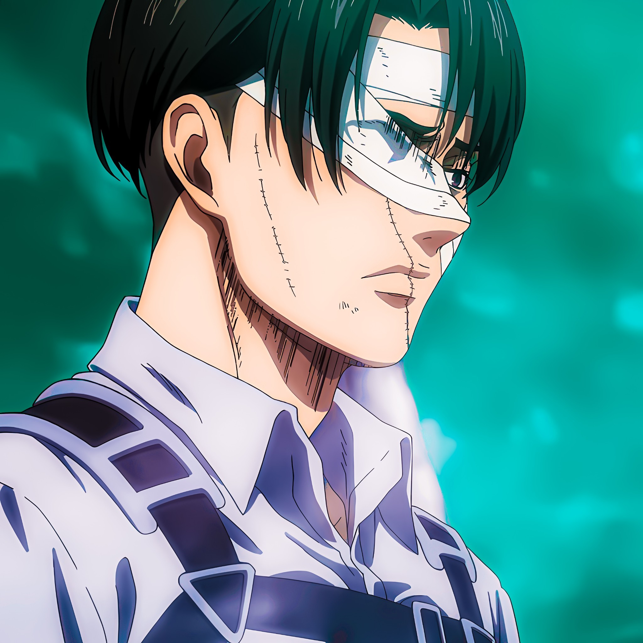 animexackerman