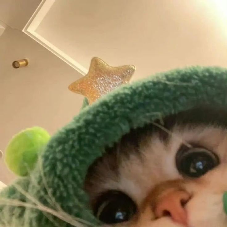 aydenizzz