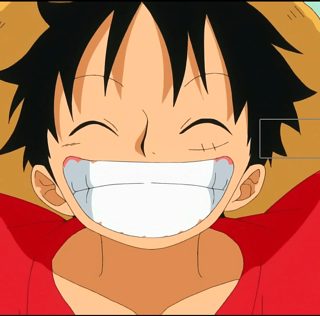 monkeydluffy_fan11of