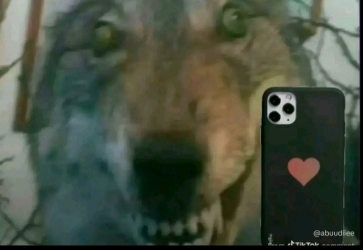 sukaona