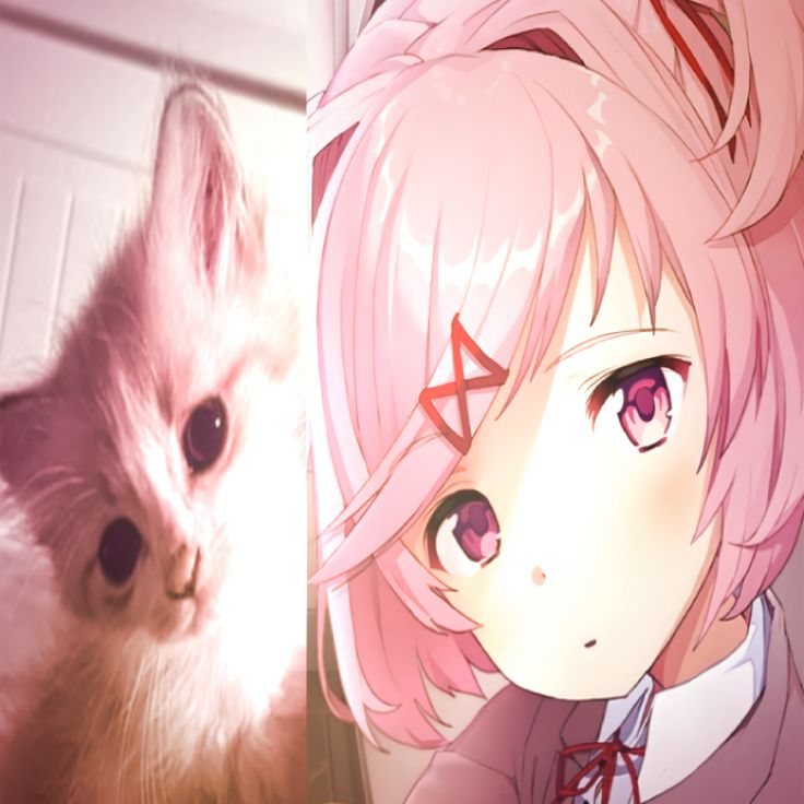 luzii