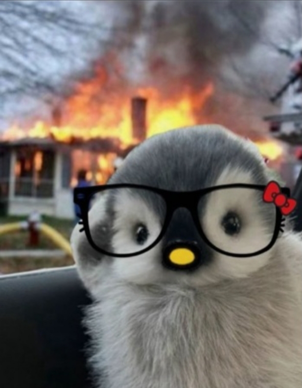 paytakpenguen