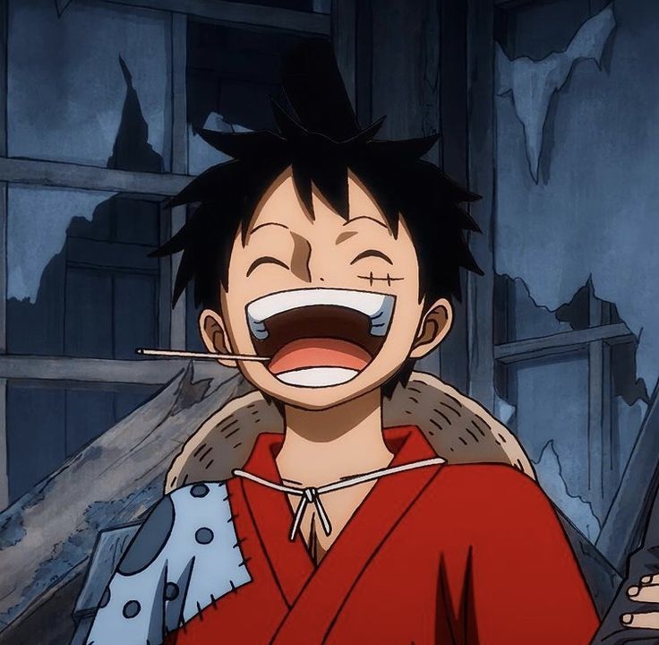 luffy1213825