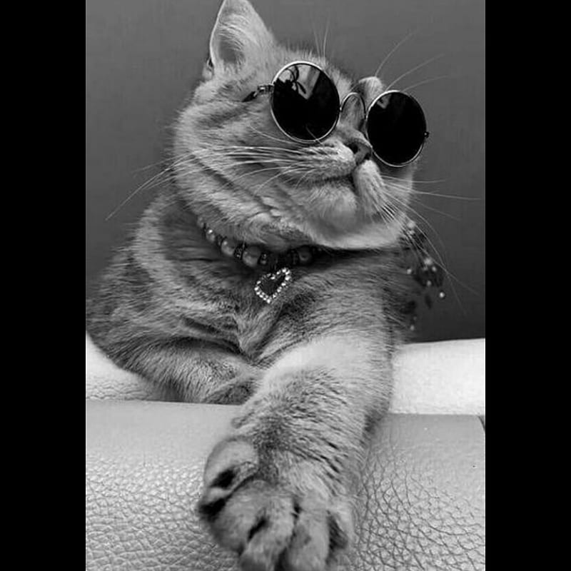 looktemo
