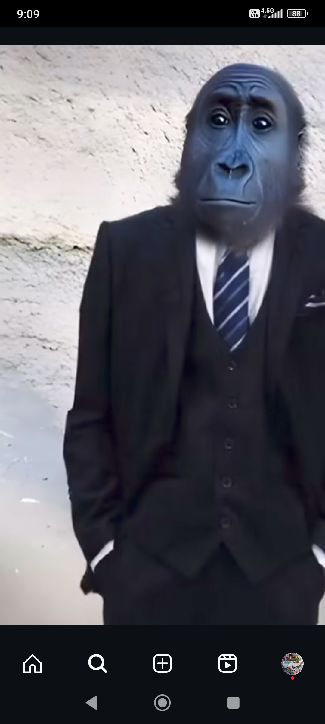 sirfrancis