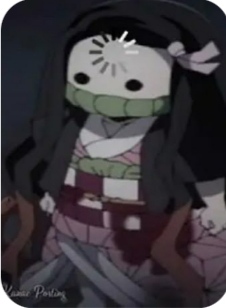 nezuko-chan-fan