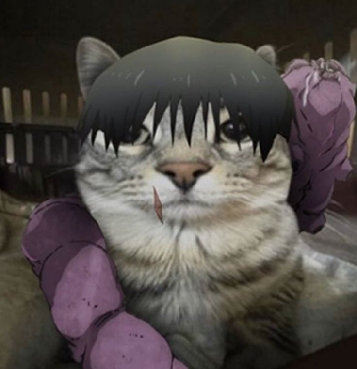 tojisalinsanoglu
