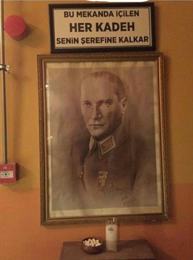 tegin8