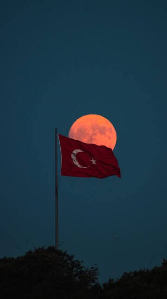 Leyla335