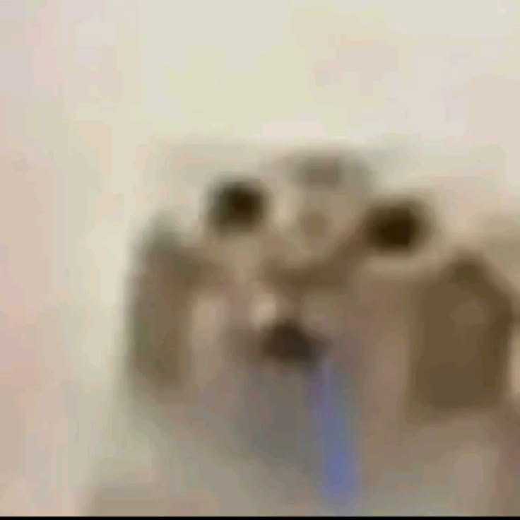 rayyx