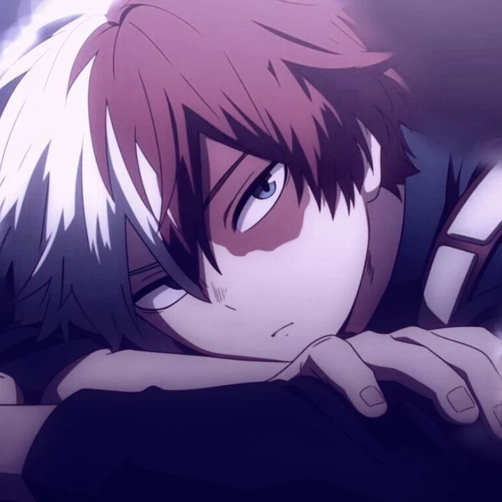 todoroki-shoto414
