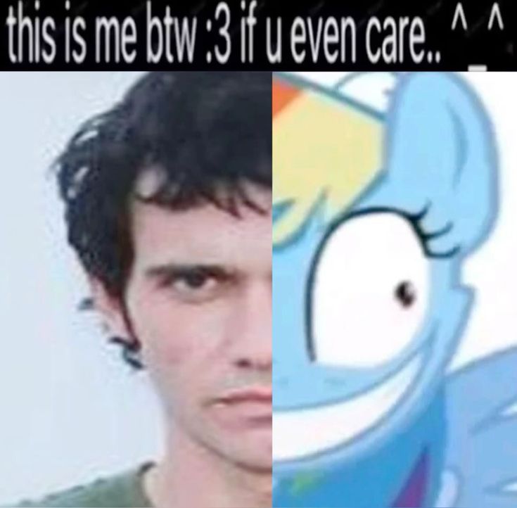 theicetruckkiller
